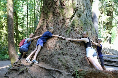 Hugging a giant tree in Canada